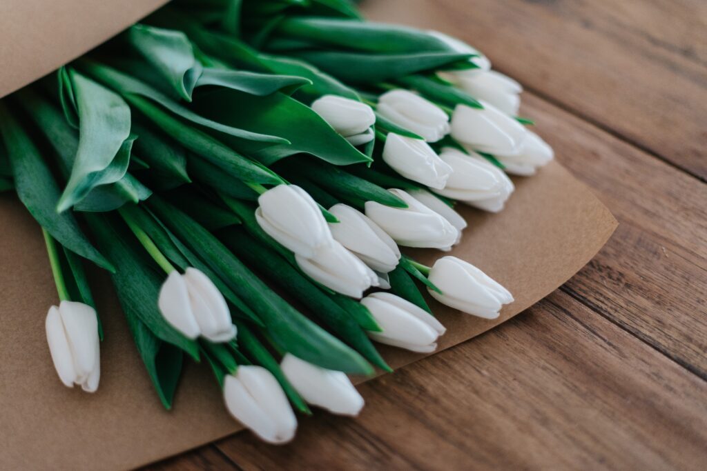 Weiße Tulpen